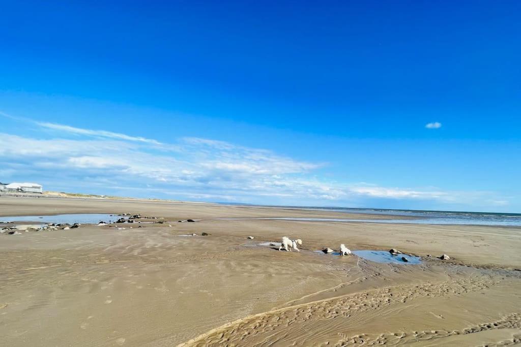 2 Bedroom Holiday Home In The Heart Of West Wales St Clears Bagian luar foto